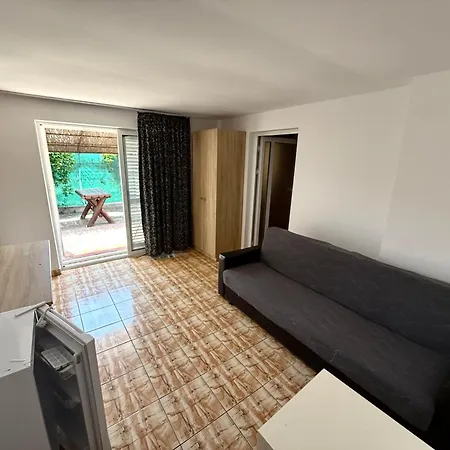 招待所 Decebal 3*