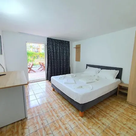 招待所 Decebal 3*