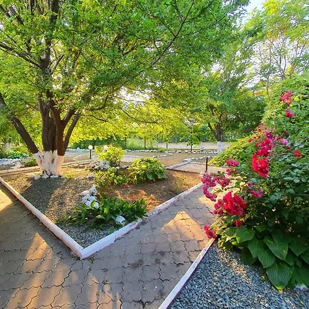 Decebal 3* Eforie Nord