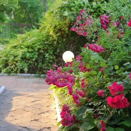 招待所 Decebal 艾福雷诺德